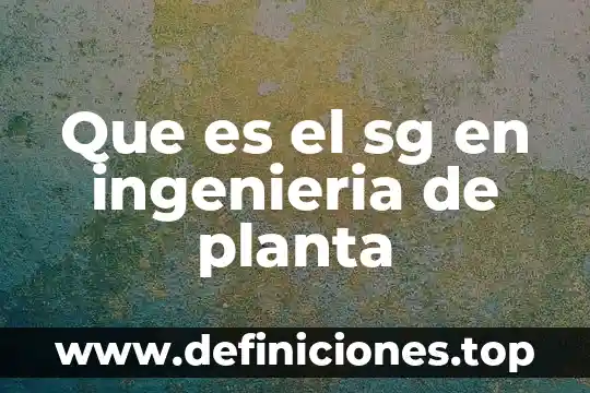 Que es el sg en ingenieria de planta