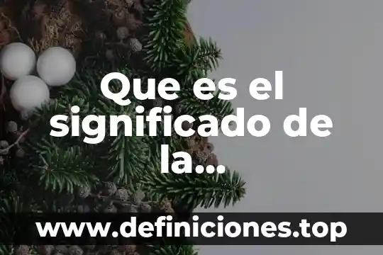 Que es vastedad significado 6 Que es el significado de la responsabilidad