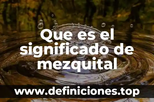 Que es el significado de mezquital