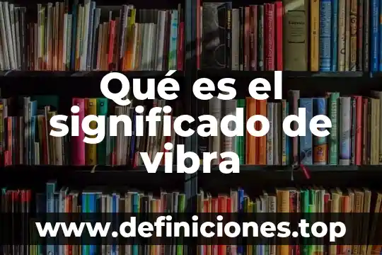 Que es segmento y su significado 7 Qué es el significado de vibra
