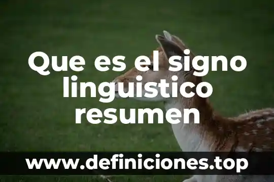 Que es el signo linguistico resumen
