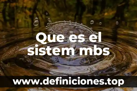 ¿Qué es un mecano receptor? 5 Que es el sistem mbs