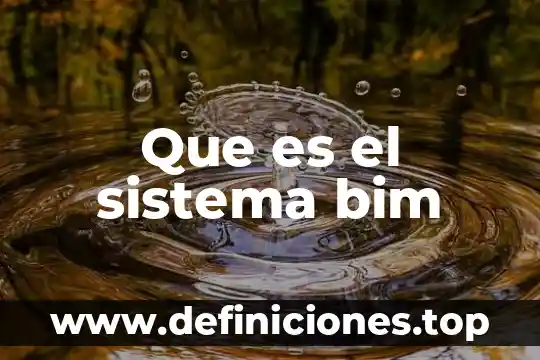 Programa BIM que es 5 Que es el sistema bim