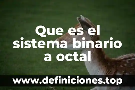 Que es un binario en informatica 8 Que es el sistema binario a octal