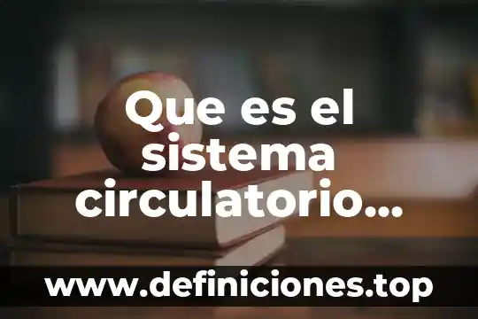 Que es el sistema circulatorio para sexto