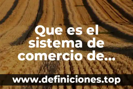 Que es el sistema educativo zapatista 7 Que es el sistema de comercio de emisiones