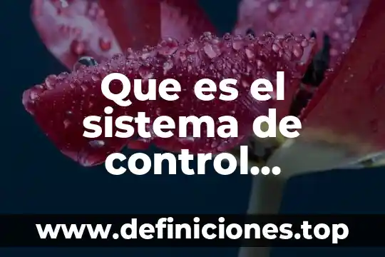 Que es accion constitucional 7 Que es el sistema de control constitucional