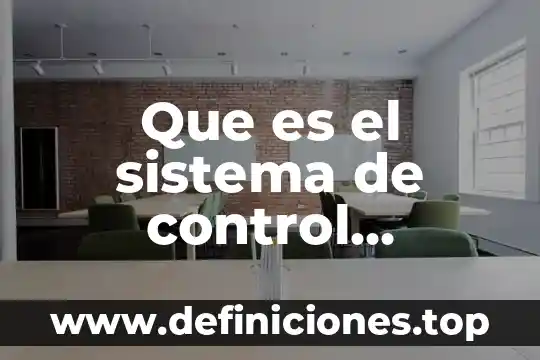 Que es accion constitucional 6 Que es el sistema de control constitucional concentrado