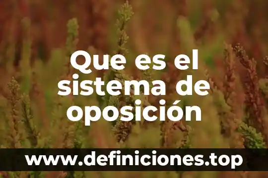 Que es el sistema de oposición