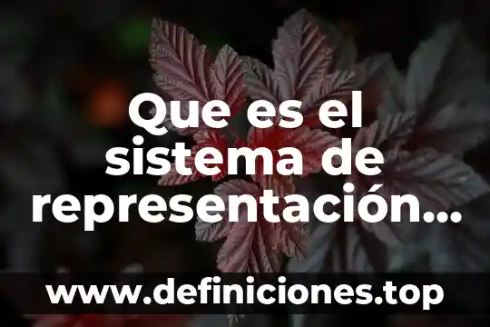 Que es el sistema para la mejora continua 4 Que es el sistema de representación política en una democracia
