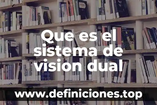 Que es el sistema de vision dual