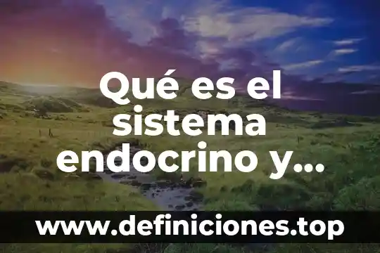 Parenquima órganos que es 8 Qué es el sistema endocrino y qué órganos lo conforman