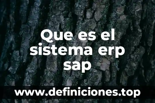 Que es la evaluacion del sistema 6 Que es el sistema erp sap