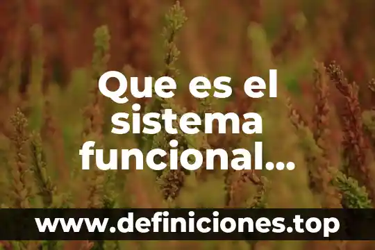 Qué es una unidad funcional en una empresa 8 Que es el sistema funcional complejo