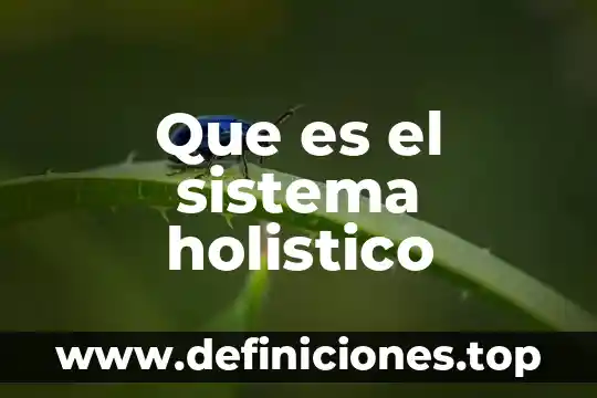 Que es una afluente en el sistema circulatorio humano 7 Que es el sistema holistico