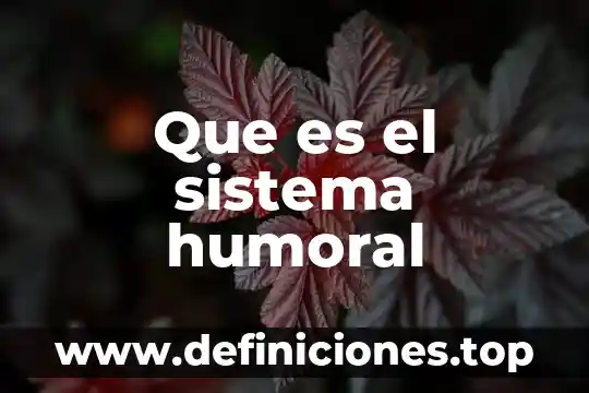 Que es el sistema educativo zapatista 8 Que es el sistema humoral