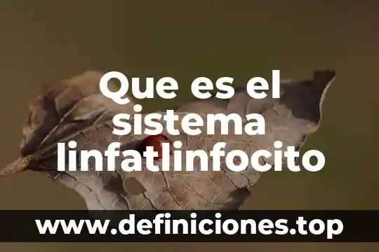 Que es el sistema linfatlinfocito