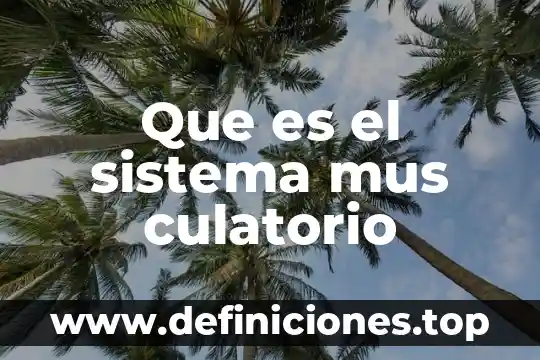 Que es el sistema mus culatorio