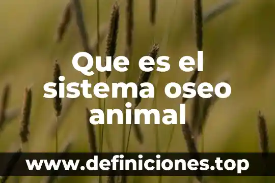Que es convergencia en metodos numericos 7 Que es el sistema oseo animal