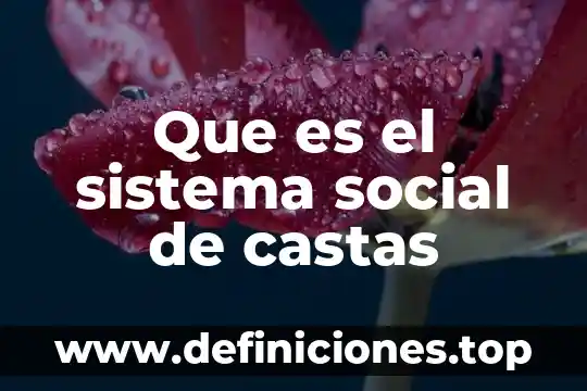Que es clase rupos social 8 Que es el sistema social de castas