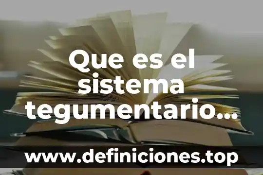 Que es el sistema tegumentario y sus anexos 4 Que es el sistema tegumentario de las aves