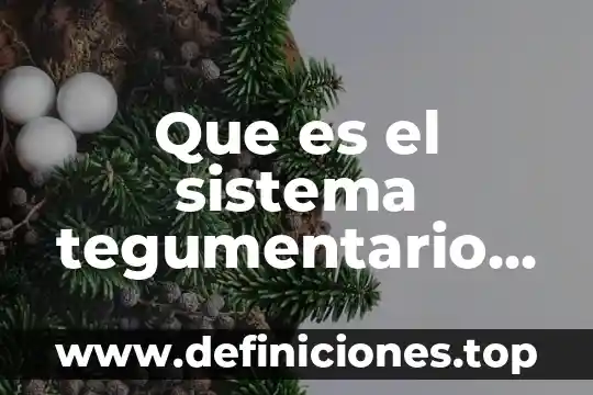 Que es el sistema tegumentario y sus partes 6 Que es el sistema tegumentario y sus anexos