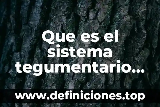 Que es el sistema tegumentario y sus anexos 3 Que es el sistema tegumentario y sus partes