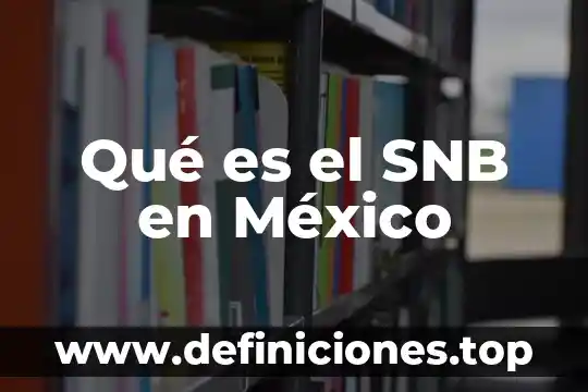 Que es y para que sirve la prueba de macrohematocrito 8 Qué es el SNB en México