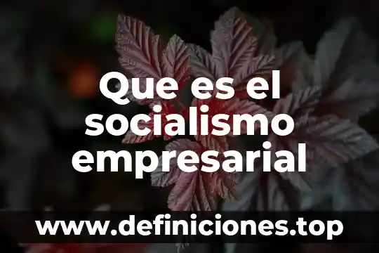 Qué es el feudalismo capitalismo y socialismo 7 Que es el socialismo empresarial