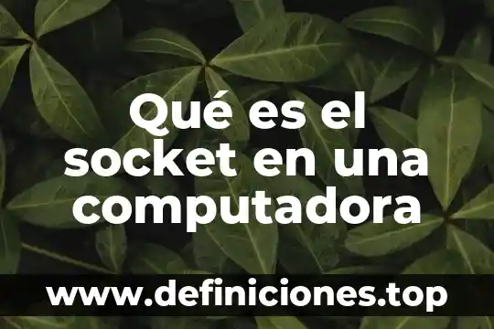 Qué es el socket en una computadora