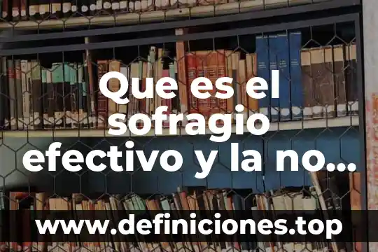 Que es odp efectivo 4 Que es el sofragio efectivo y la no reeleccion