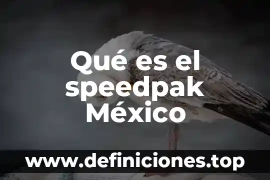 Qué es la amplificación para objetivo en microscopio 5 Qué es el speedpak México