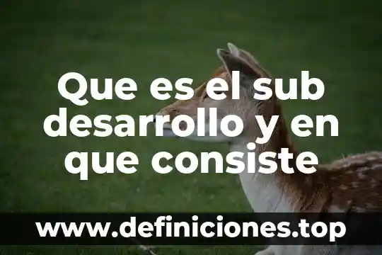 Que es y en que consiste un manual tecnico 3 Que es el sub desarrollo y en que consiste