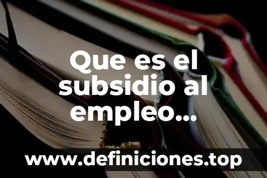 Que es el subsidio al empleo aplicado noi