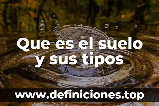 Que es tipos de adpcion 5 Que es el suelo y sus tipos