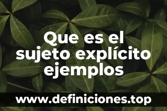 Que es el sujeto explícito ejemplos