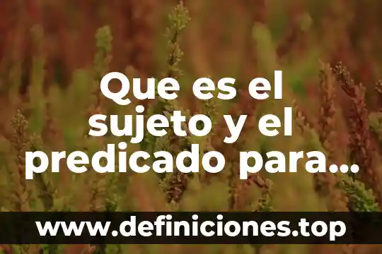 Que es sujeto elemento del conocimiento 3 Que es el sujeto y el predicado para niños