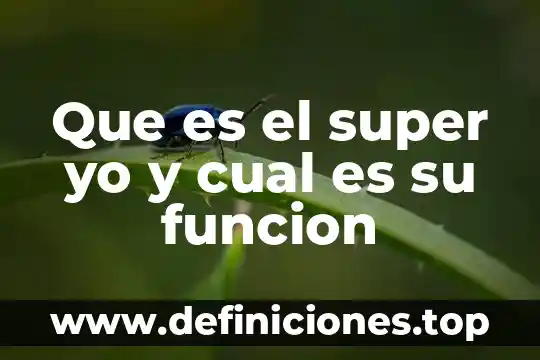 Que es el inali y cual es su funcion 7 Que es el super yo y cual es su funcion