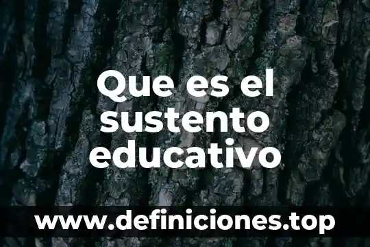Que es un proyecto educativo sanchez puente 3 Que es el sustento educativo