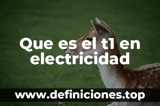 Fr que es en electricidad 4 Que es el t1 en electricidad