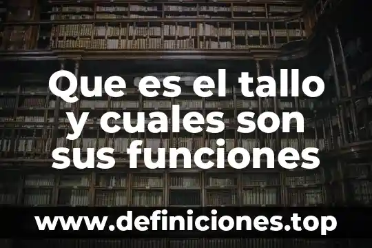 Que es el tallo y cuales son sus funciones