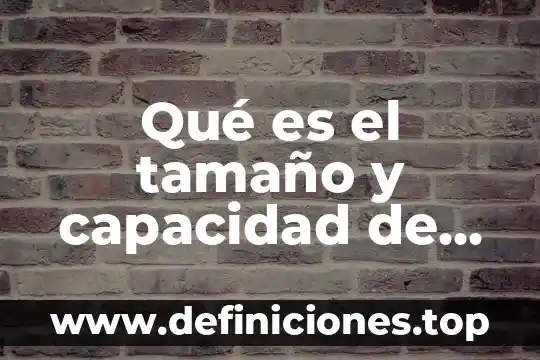 Qué es el tamaño y capacidad de un proyecto