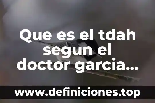 Que es la marca the doctor 4 Que es el tdah segun el doctor garcia castaño