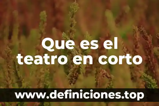 Que es un adjetivo corto ingles 4 Que es el teatro en corto