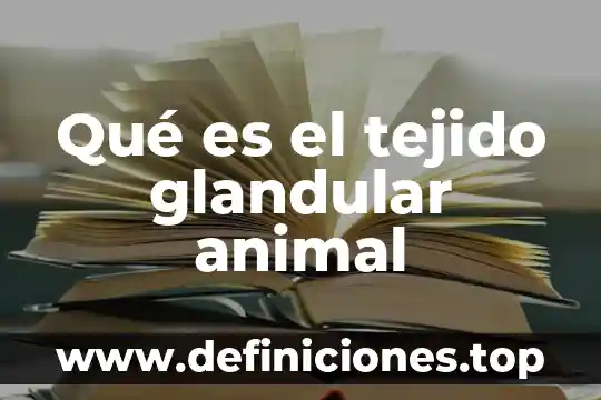 Qué es el tejido glandular animal