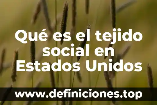 Qué es un hospicio en estados unidos 3 Qué es el tejido social en Estados Unidos
