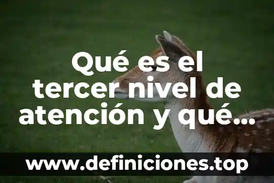 Que es la atencion de primer nivel 5 Qué es el tercer nivel de atención y qué conlleva
