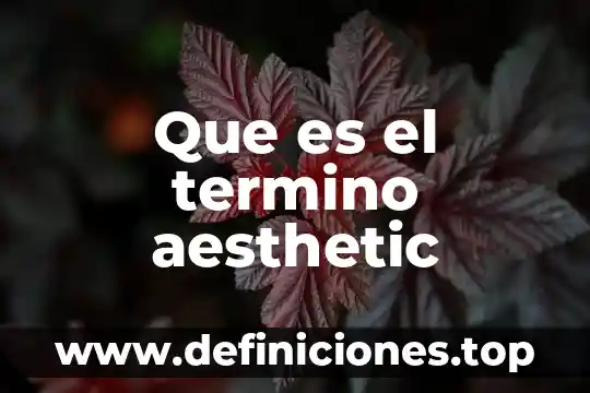 Que es esmero como valor 8 Que es el termino aesthetic