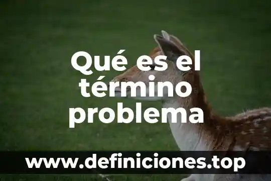 Qué es el término problema