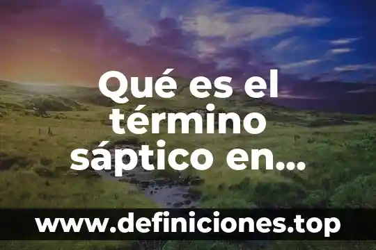 Qué es el término sáptico en enfermería